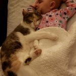 10896260-image-crop-483x692-1549872095-728-0dbf933d8a-1552817907