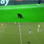 1091737157838999553-png__700