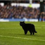 1091737253062369281-png__700