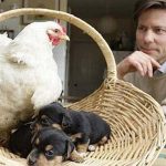 5116360-image-crop-479x313-1536124234-728-7c88147f2d-1536305158