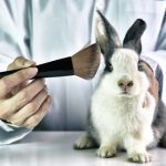 Canada-MovesE28088CloserE28088ToE28088Cosmetics-Animal-Testing-Ban-1000x600