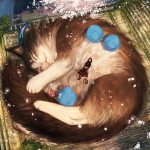 This-Japanese-illustrator-gives-life-to-giant-animals-5c9b2e6f4fb43__880