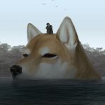 This-Japanese-illustrator-gives-life-to-giant-animals-5c9b2ea2880f6__880