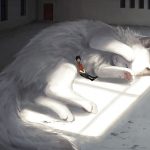 This-Japanese-illustrator-gives-life-to-giant-animals-5c9b2ea759852__880