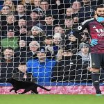 football-match-liverpool-interupted-cat-2-5c75194acfabe__700