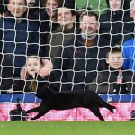 football-match-liverpool-interupted-cat-3-5c75194caca32__700