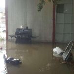 homem-desfaz-seu-proprio-chao-para-salvar-gatinho-momentos-antes-de-se-afogar1-1