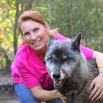 rescue-story-dogwolf-yuki-shy-wolf-sanctuary-2