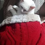 tmg-article_tall (2)