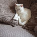 tmg-article_tall (3)