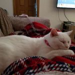 tmg-article_tall (4)