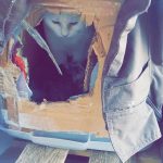 tmg-article_tall (5)