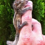 11440160-image-crop-610x660-1553171977-728-c18cf0a45e-1554361641