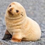 11440260-image-crop-772x731-1553767927-728-9ccb3afc92-1554361641