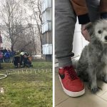 11795410-37326960-b530da903cf3f903bb6b752f23a7809fb0e69e97-1500-1-1555063426-728-b52865e984-1555415149