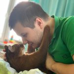 11795810-1553950835159437405-1555051745-728-1481f18a6a-1555415149