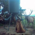 11796310-image-crop-683x393-1555067461-728-dcd470f83f-1555415149