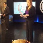 11796410-image-crop-528x595-1555052498-728-4d93a02ab0-1555415149