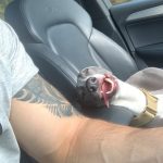 11796460-image-crop-1536x1292-1555052957-728-2410e3627e-1555415149