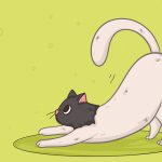 11837210-17088710-0061e1cf3bc7a371f6c3bf1677f26b027034fd62-4002-1-1552935957-728-32e9147584-1555504380