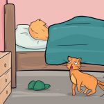 11837260-17148160-78f8e7f60547d5a8f83d6f93eee57fa0f2db334b-4002-1-1552942665-728-32e9147584-1555504380