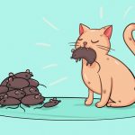 11837360-17110860-e9f3b343aa065e8807678b40e66f4e7511dd068a-4002-1-1552937833-728-32e9147584-1555504380