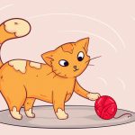 11837410-16525610-8aad92436dfbef0feabbbdc7c8ddadd223ffe1dd-4002-1-1552906167-728-32e9147584-1555504380