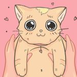 11837510-16497460-7a766a62ee1de3b295b3e366a8f747b855fe1f8f-4002-1-1552905733-728-32e9147584-1555504380