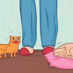 11837560-16486960-f4c8c0ae83141140ae7cf7139410035bcd3c7150-4002-1-1552905290-728-32e9147584-1555504380