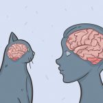 11837910-14802460-5295656a008116c45ac044e5d7027b969a771bff-4002-1-1552635808-728-32e9147584-1555504380