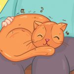 11838060-14774660-0c529182165f25ea5380084b730bc1b0af1c5c2f-4002-1-1552633287-728-32e9147584-1555504380