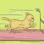 11838110-14763710-9ad40abdbc94b22ee3d58575d1a2590dfdceb8fc-4002-1-1552632415-728-32e9147584-1555504380