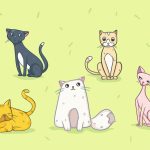 11838260-13882810-06083671ff5221fd15b9f55cbc61ac98e1b74945-4002-1-1552552412-728-32e9147584-1555504380