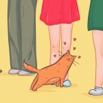 11838360-13831110-7b0dab5eeafd241df2e5b549007dabd689003735-4002-1-1552550471-728-32e9147584-1555504380