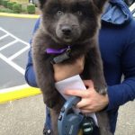 11887460-nuk8t15565kz-1554743510-728-59399b5440-1555586114