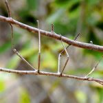 11887660-20091216_010258_-1554803748-728-c94a6d91c8-1555586114