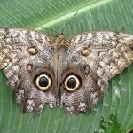 11887860-preview6-0838151001553868645-728-321cb38ec2-1555586114