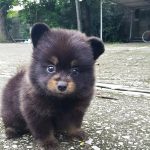 11888860-image-crop-900x1098-1554831974-728-4d92eba865-1555586114