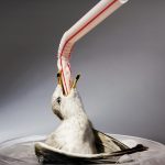 ??????? Greenpeace ? ????? ???????? ??? ?????????? ?????