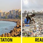 11898410-41201460-b95e864d8d679c91dd1e5fbd8dd9f7fb2c22527d-1500-1-1555491440-728-c722bdf57d-1555588665