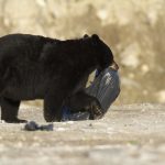 Design Pics RM Sept 2013 First Light