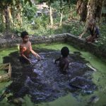 11899310-image-crop-1441x1135-1555574549-728-e515dcc6a3-1555588665