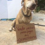 11996060-56527805_10210468623472173_4527621461061402624_n-1555007853-728-14c56b6752-1555694800