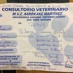 11996110-56549496_10210468739475073_1522478332048834560_n-1555008029-728-14c56b6752-1555694800