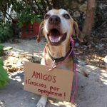 11996160-56414147_10210472024117187_7813197070847705088_n-1555008127-728-5f855d5780-1555694800