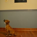 12010010-zctK-pG7SLH0XFcjYxa2Wh5JLEzfpNnuQpPWmGiJOe4-1555499642-728-17cdb38319-1556016937