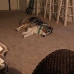 12010060-b02cdkgk8wm21-1555498369-728-dc5423ac2f-1556016937