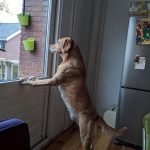 12010110-bmwtghrwwpf21-1555498295-728-72458227e9-1556016937