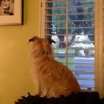 12010310-ud73n1iav2d21-1555497721-728-e83e921300-1556016937