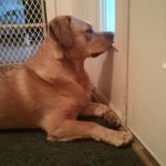 12010860-xudmj-DE9201Y_pVmFo6xxw3sX2oRTNrC2Z6yXv8TcU-1555499591-728-329b587be6-1556016937